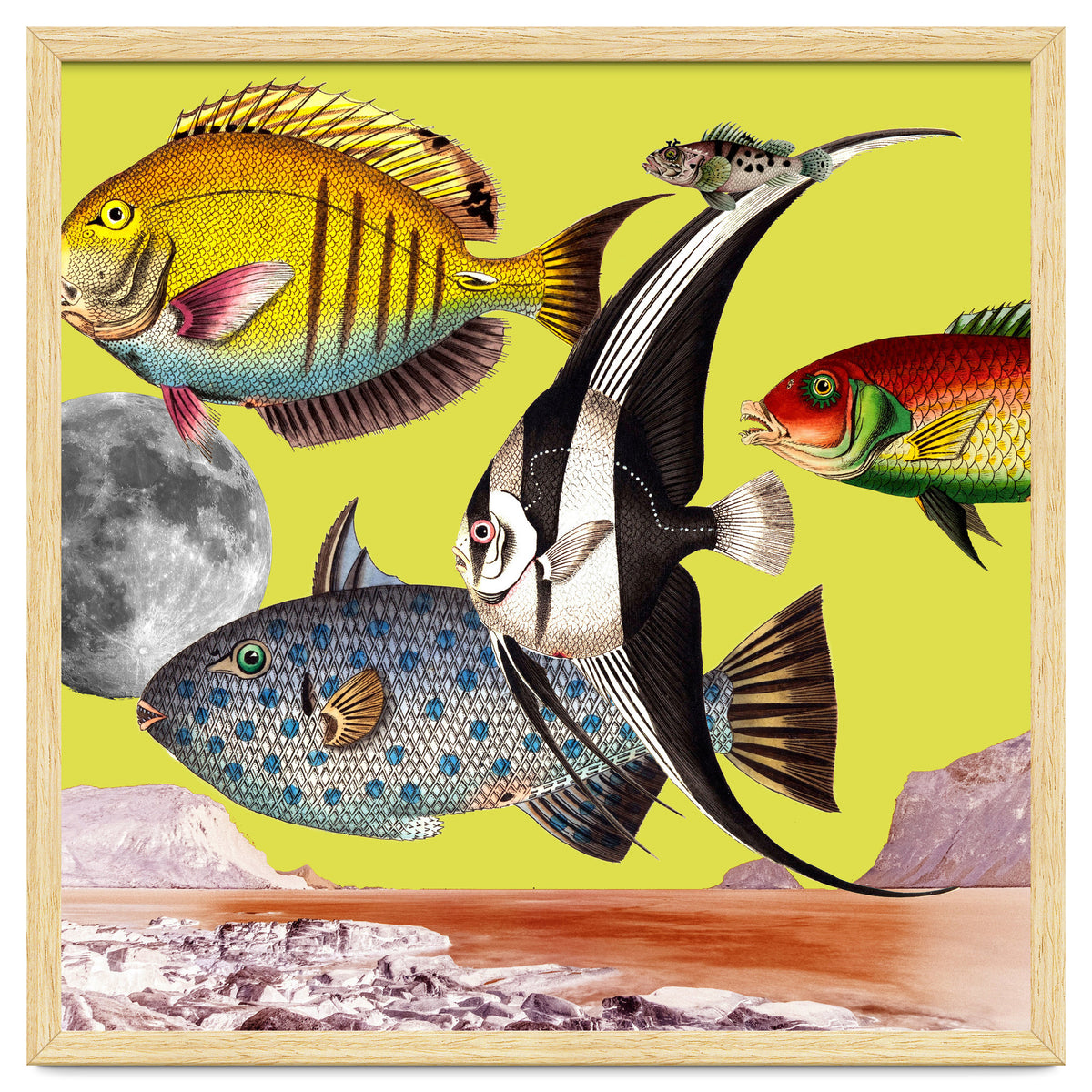 Plenty Of Fish In The Sea Yellow