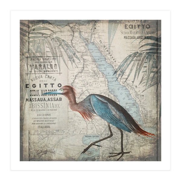 Egypt Heron (Print Only)