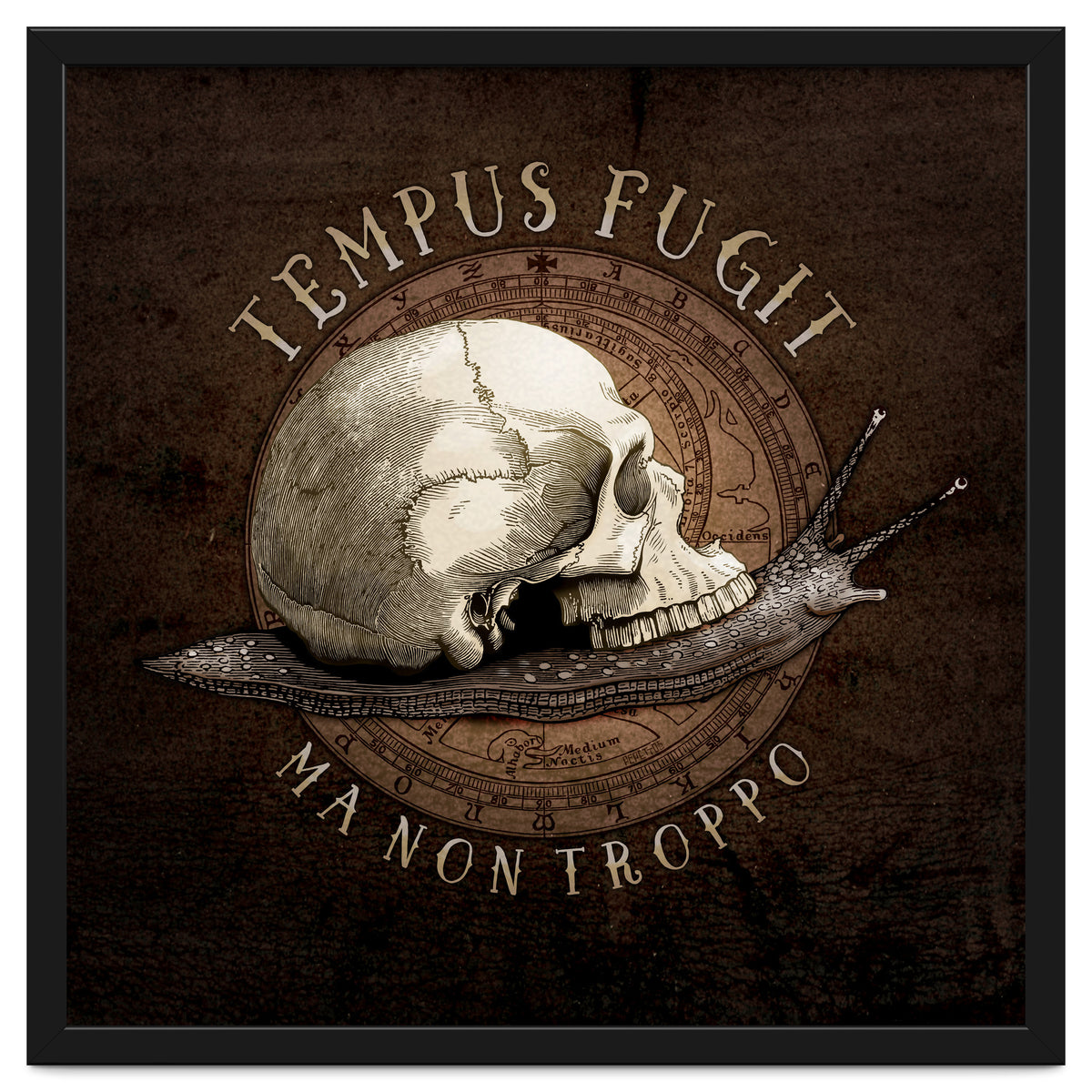 Tempus Fugit (ma non troppo)
