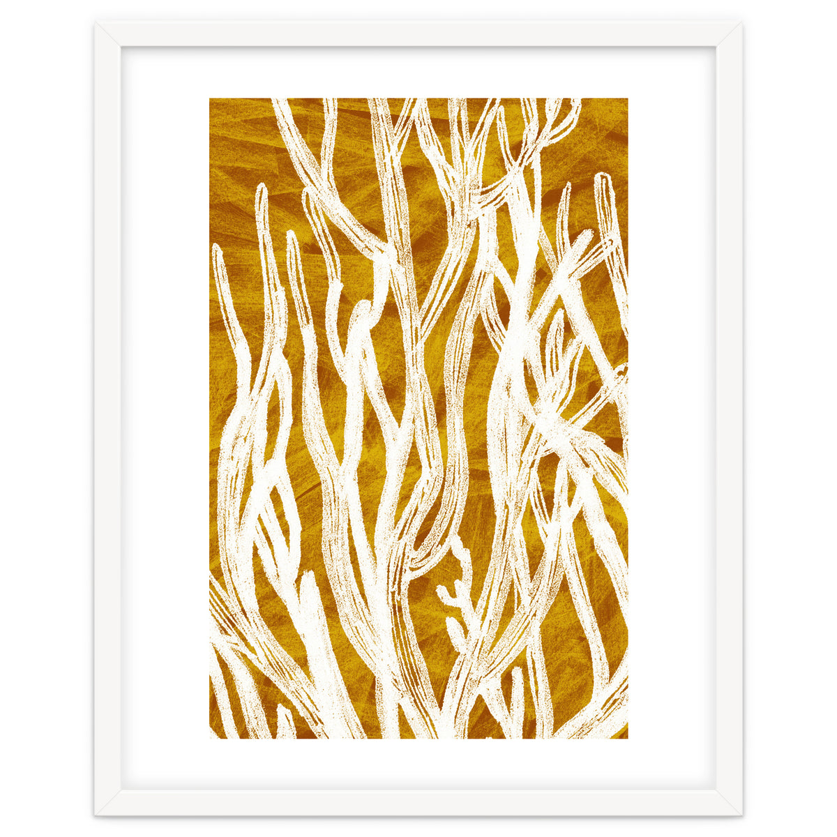 Desert Colours Collection 1