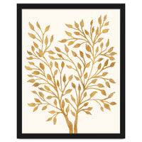 Golden Ficus 4x5