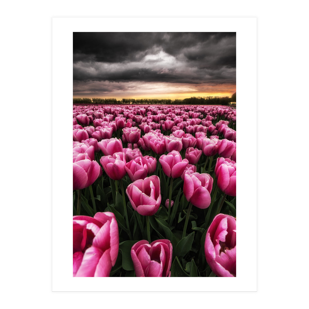 Spring Palette (Print Only)