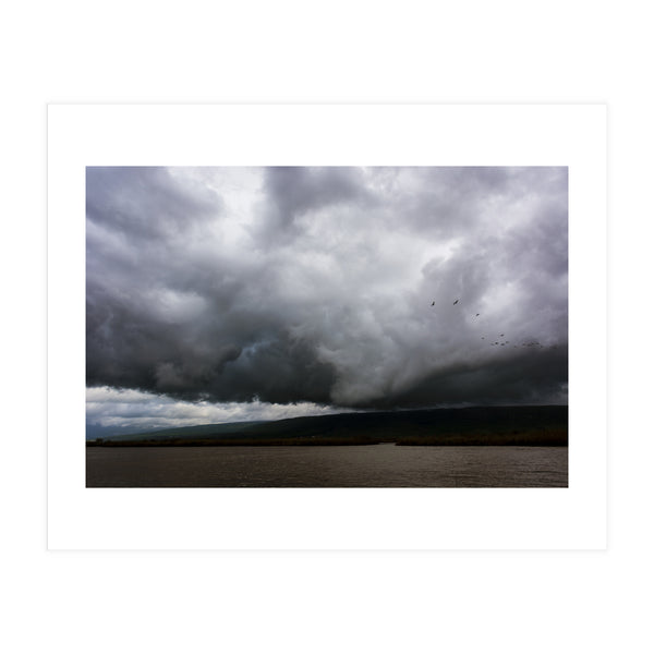 The Hula Valley #1 (Print Only)