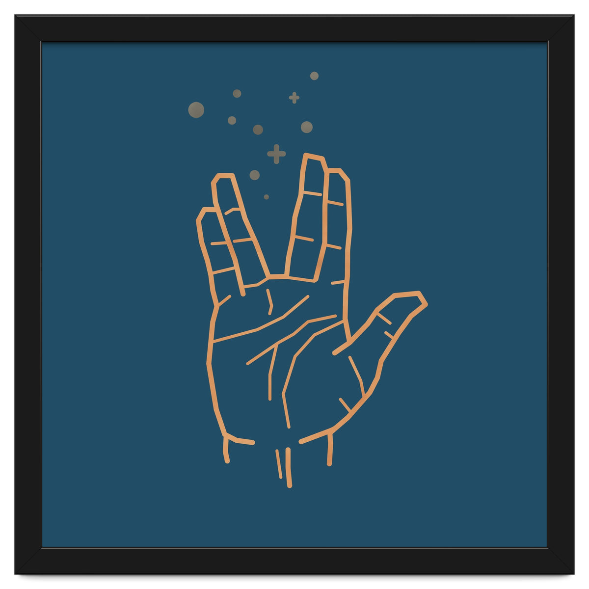 Vulcan Salute