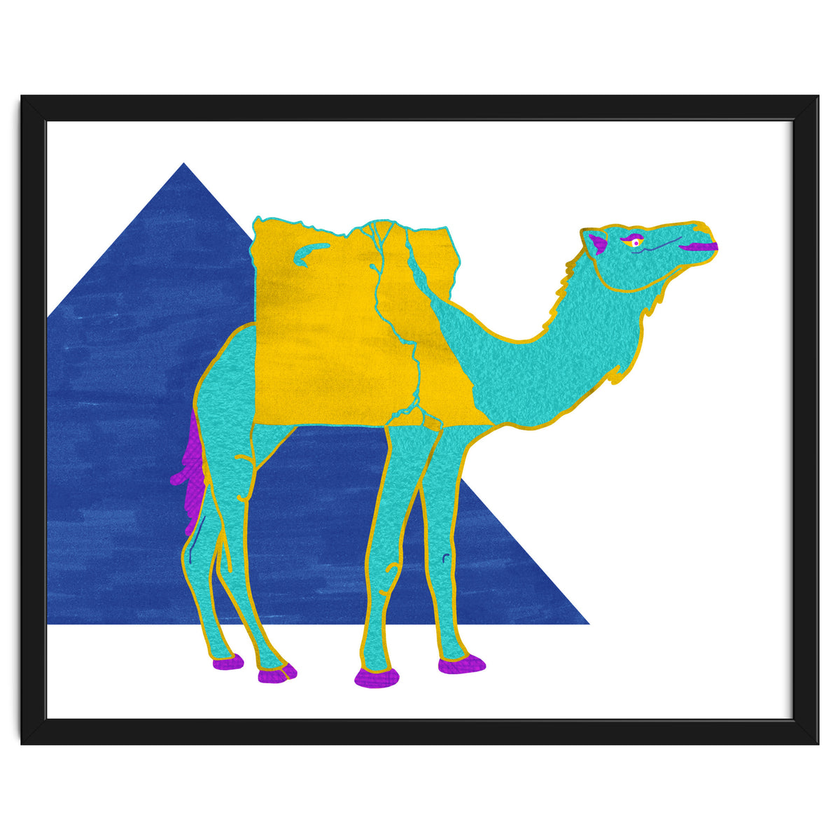Egyptian Dromedary