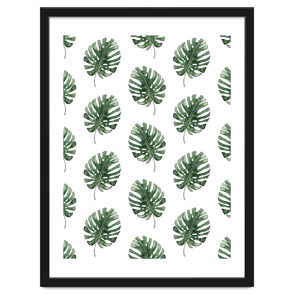 Monstera Leaves