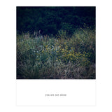 you are not alone - Nature Photography (Print Only) thumbnail