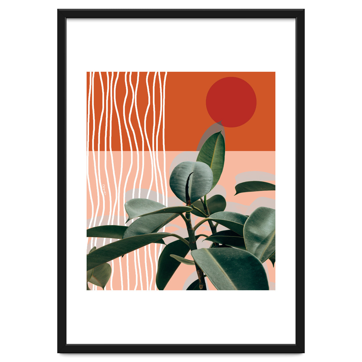 Times of a Growing Plant