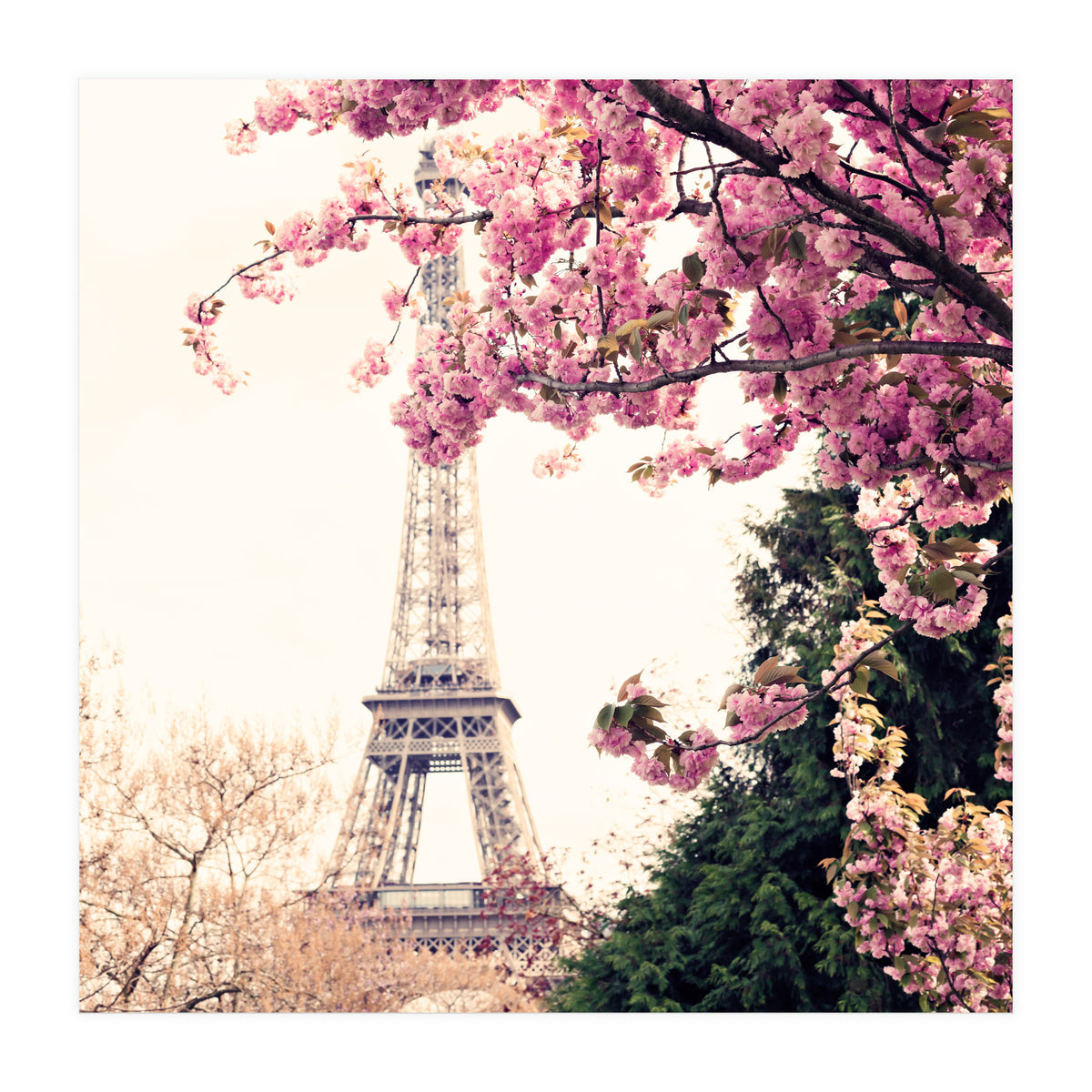 Paris in the Spring (Print Only)