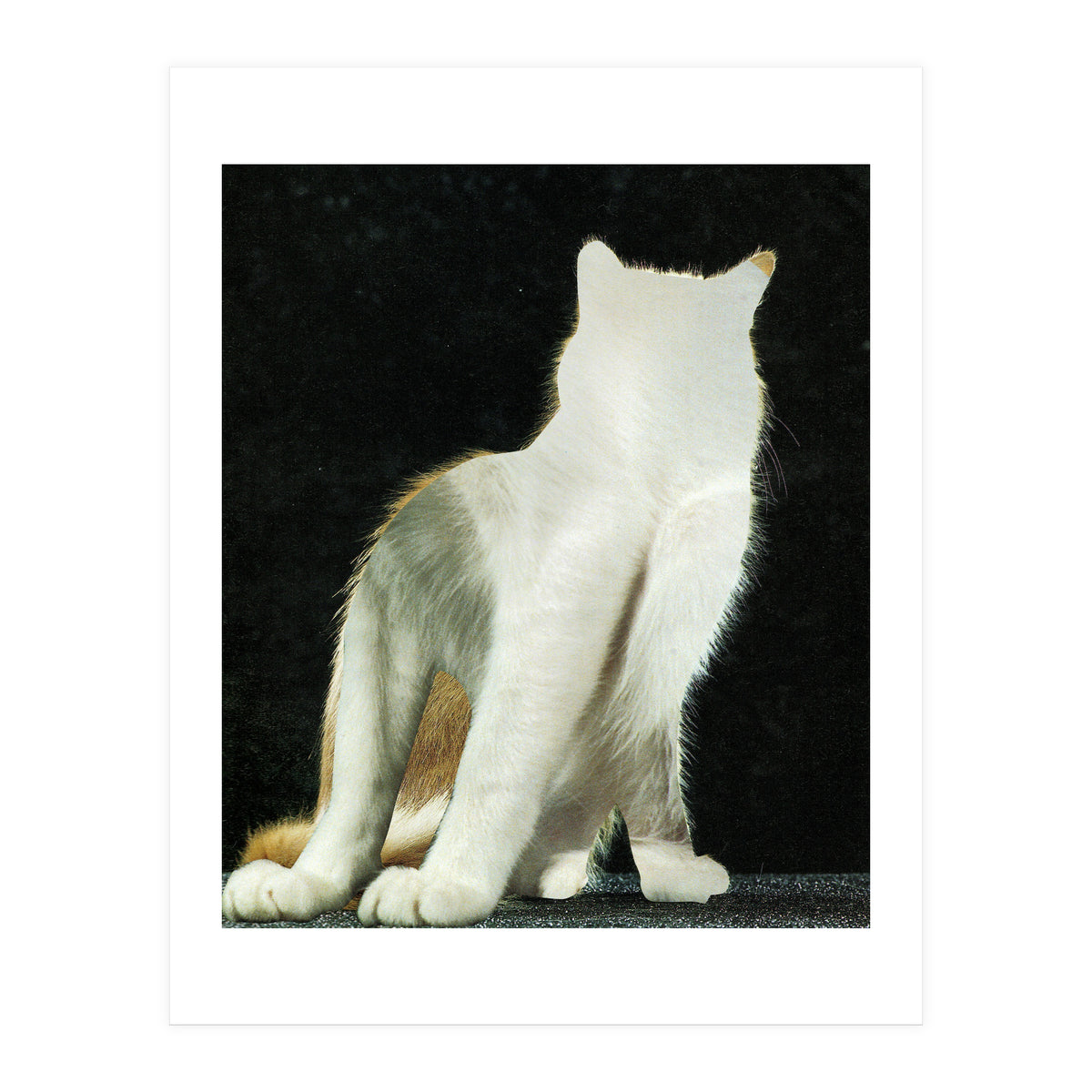 KatzenJammer 11 (Print Only)