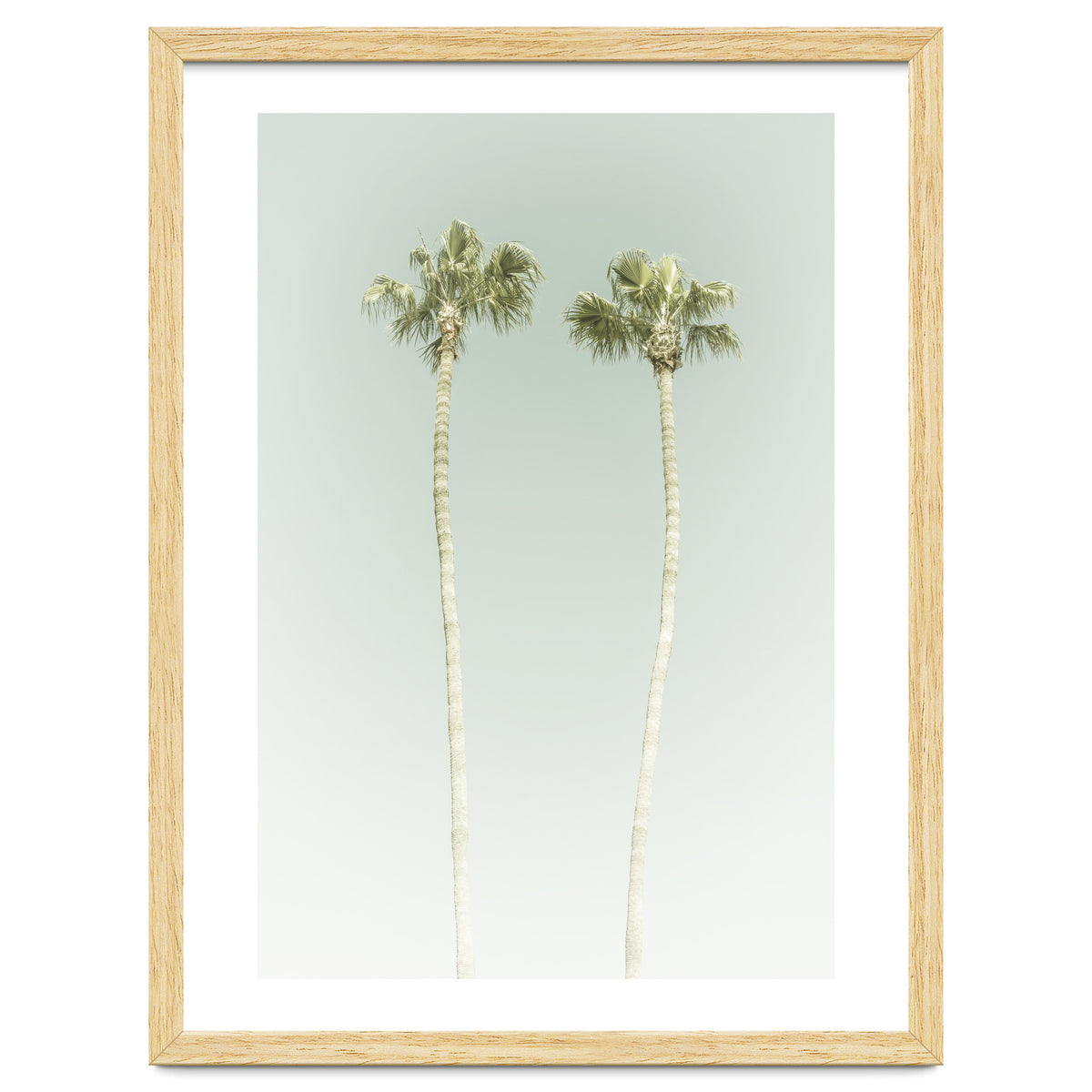 Vintage Palm Trees