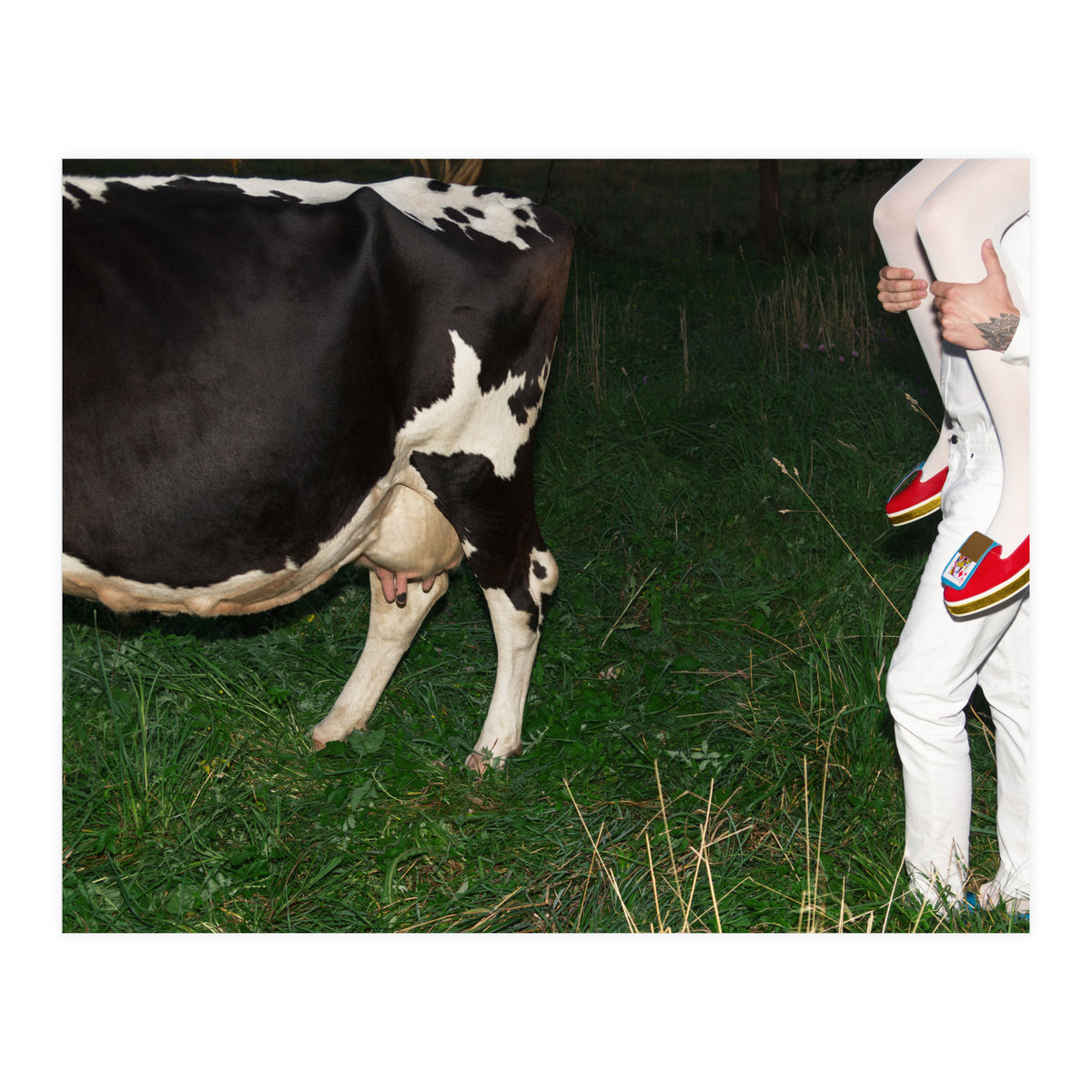 Moo means No (Print Only)