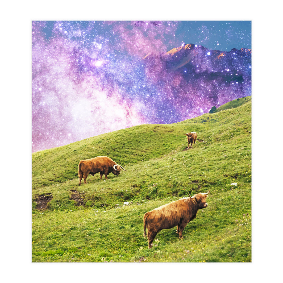 Space Cow Series II (Print Only)