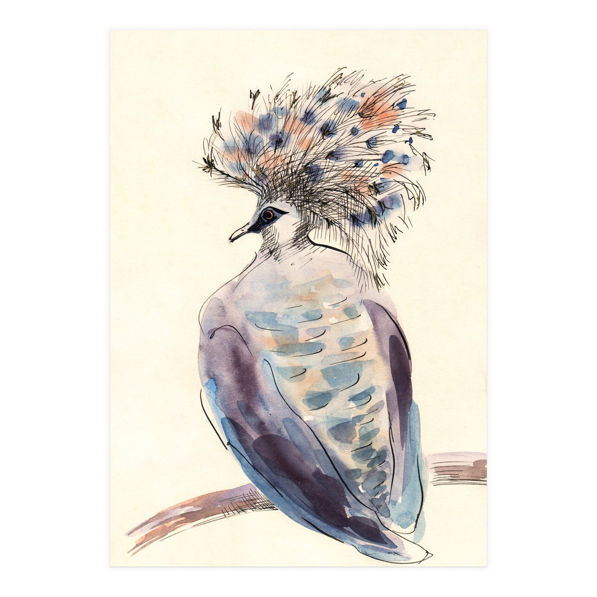 Crowned Pigeon (Print Only)