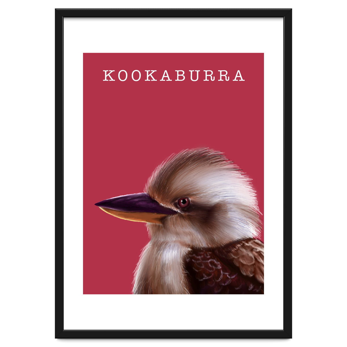 Kookaburra