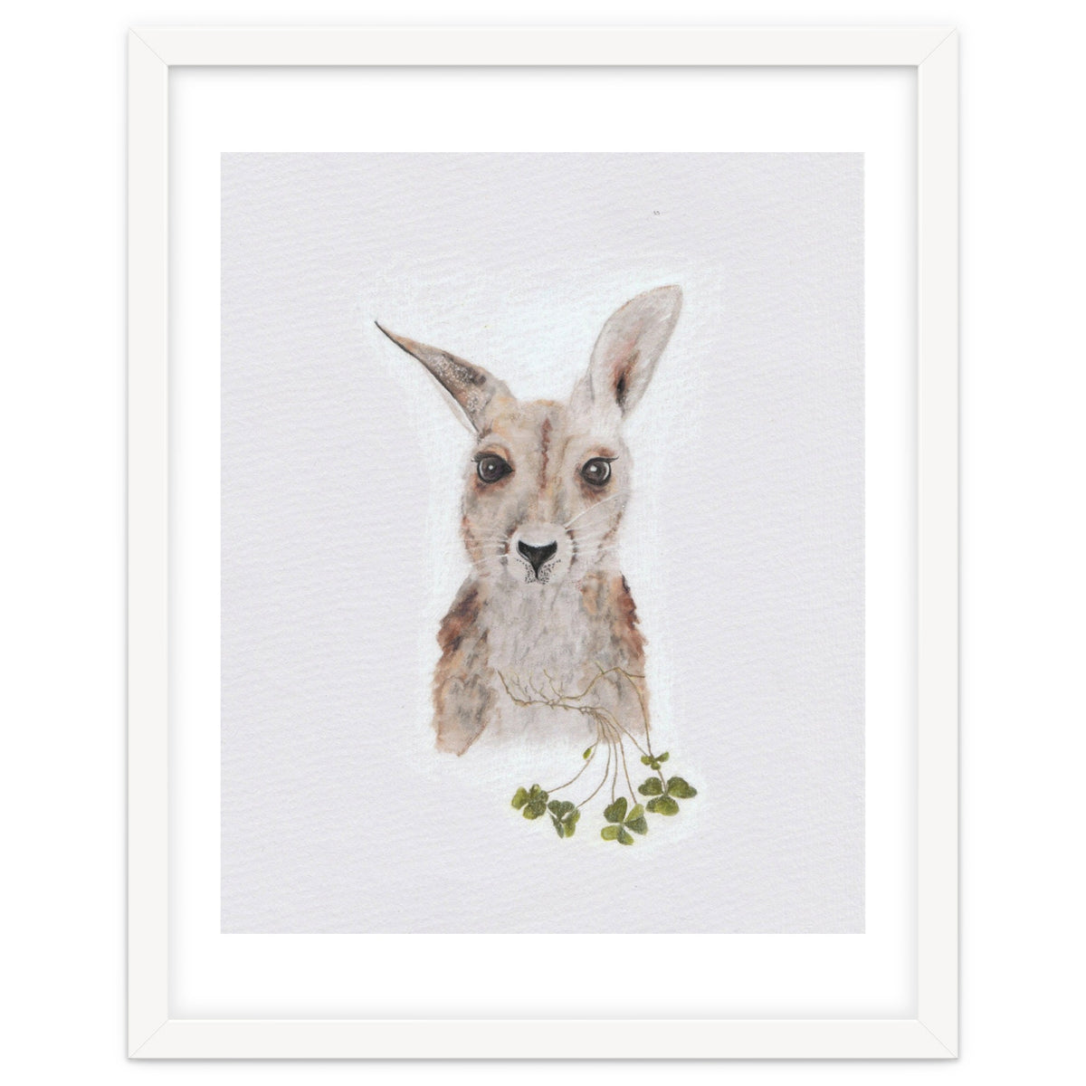 Wallaby - Australian Animal Series