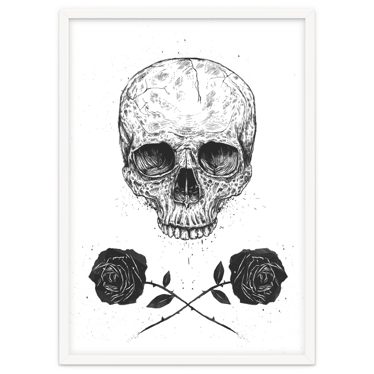 Skull N Roses