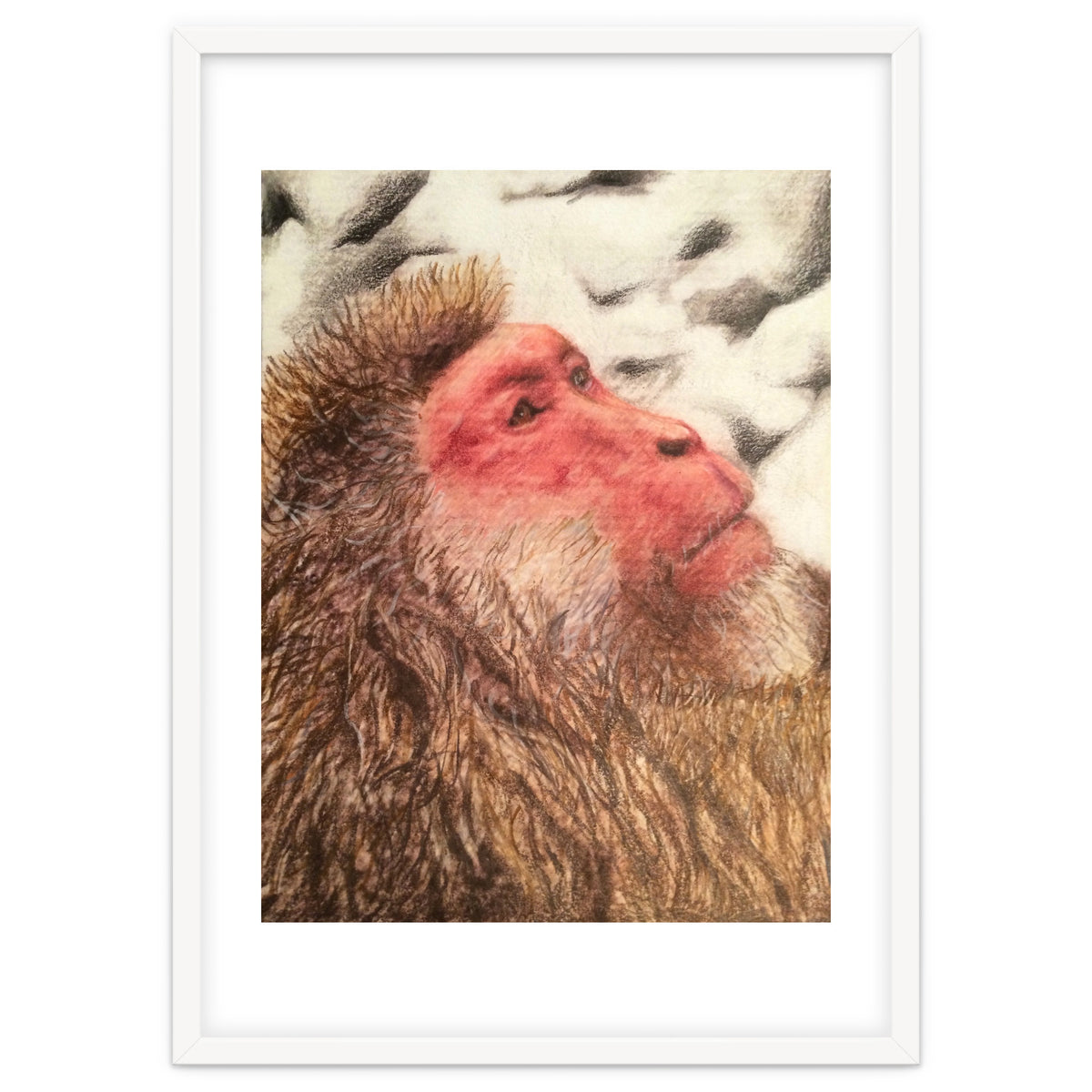 Japanese Macaque At The Onsen