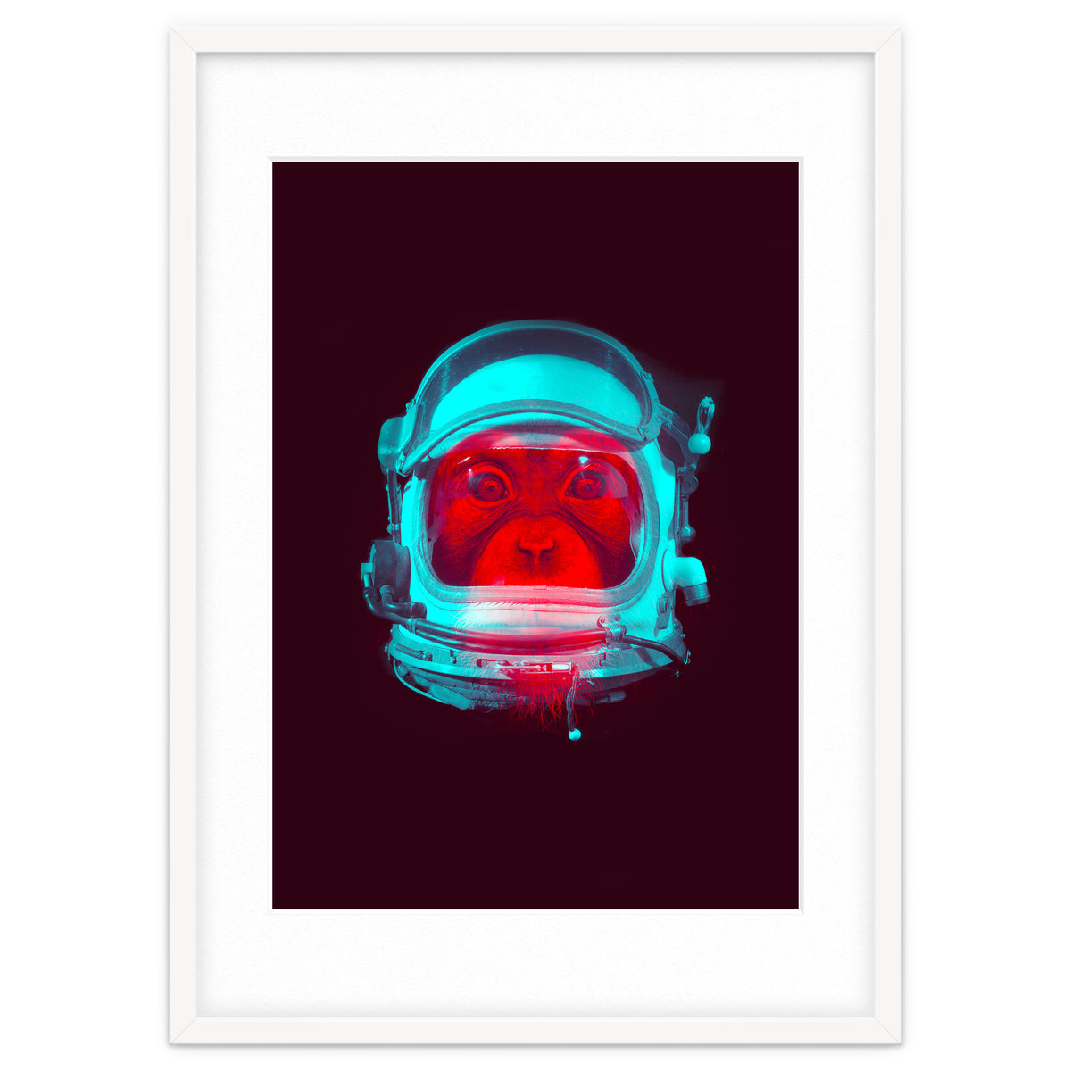 Astronaut
