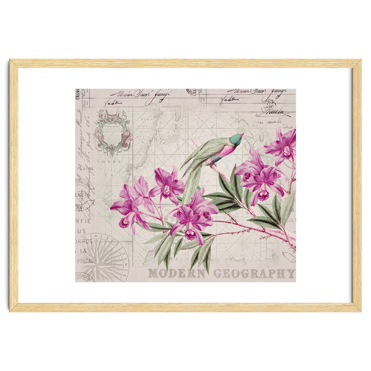 The Birds Voyage Of Discovery