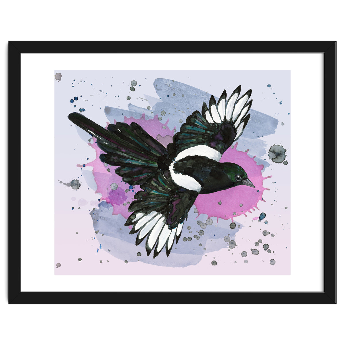 A watercolor drawing of a flying magpie