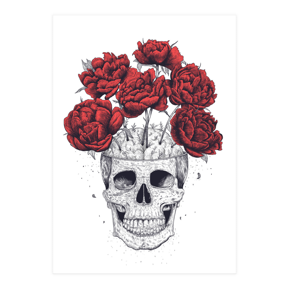 Skull With Peonies (Print Only)