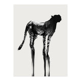 Cheetah  (Print Only) thumbnail
