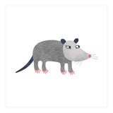 Possum (Print Only) thumbnail