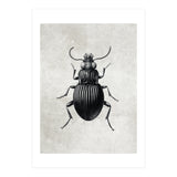 84 (Print Only) thumbnail