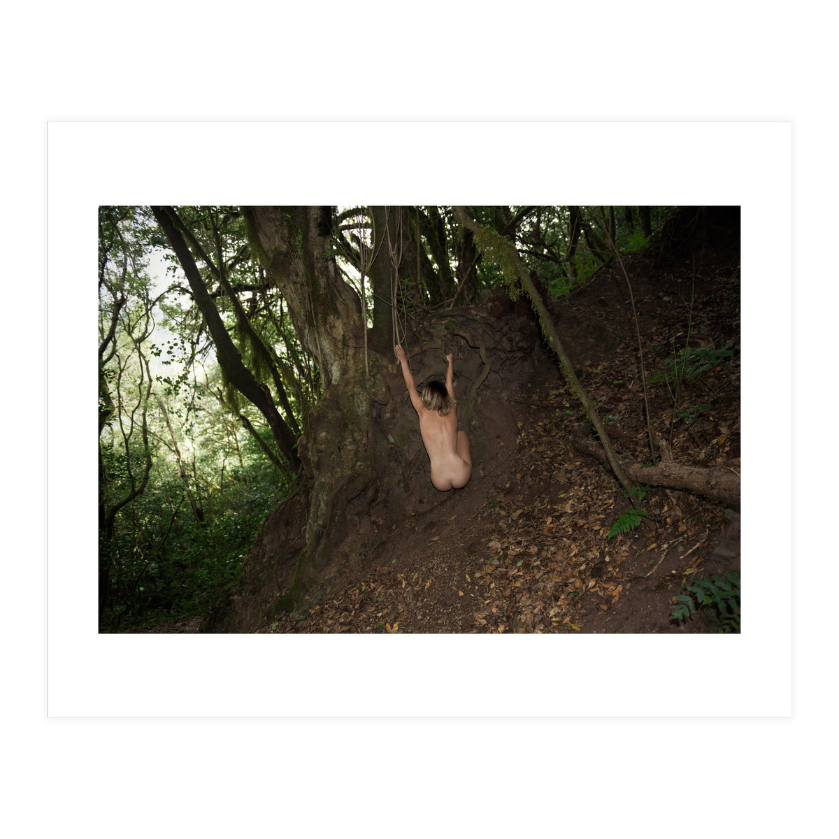 Tropical Monkeys (Print Only)