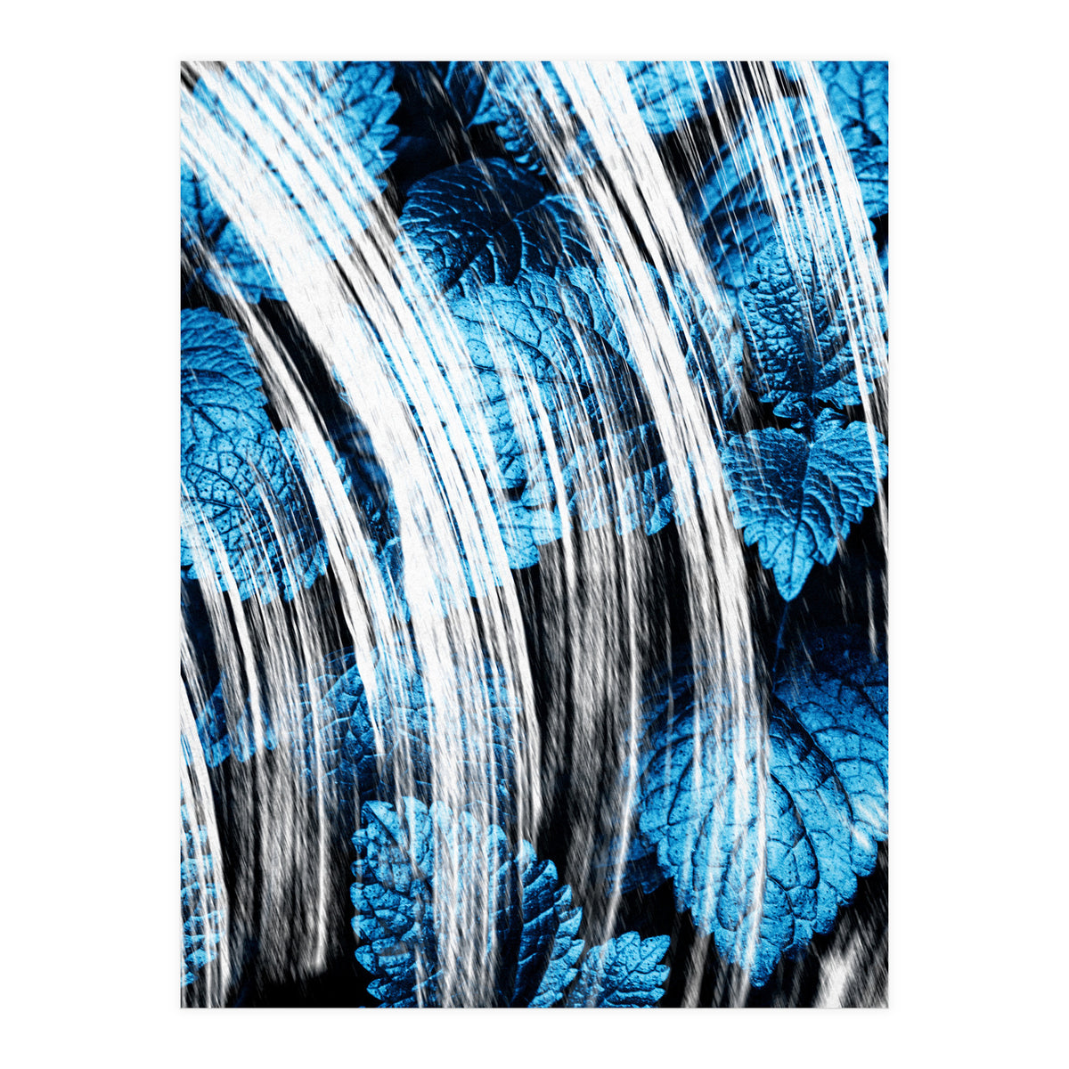 Raining Forest No4 (Print Only)