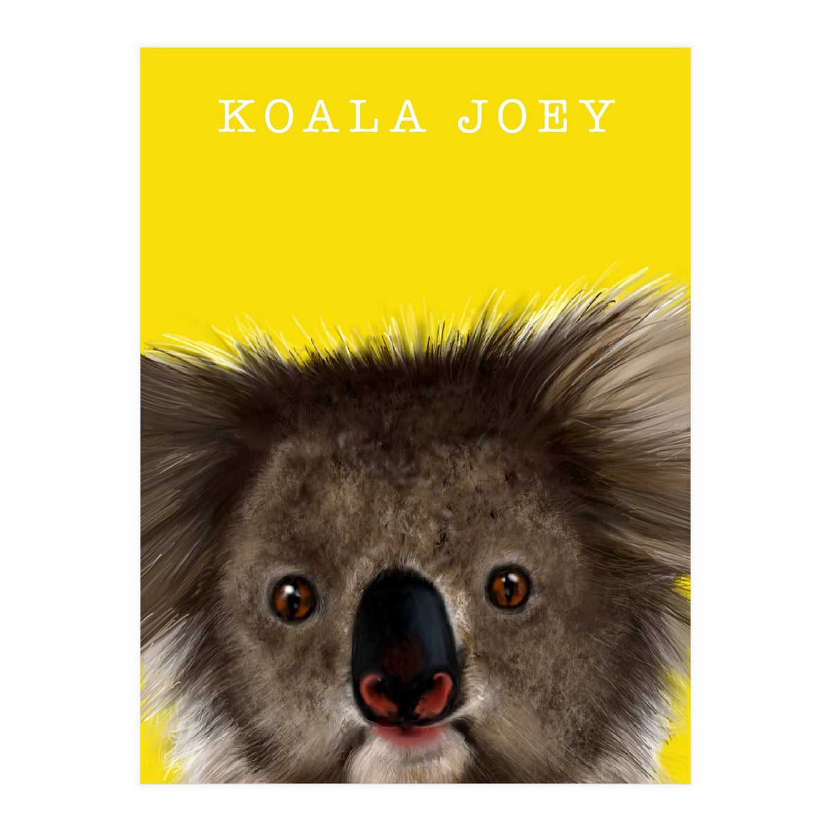 Koala Joey (Print Only)
