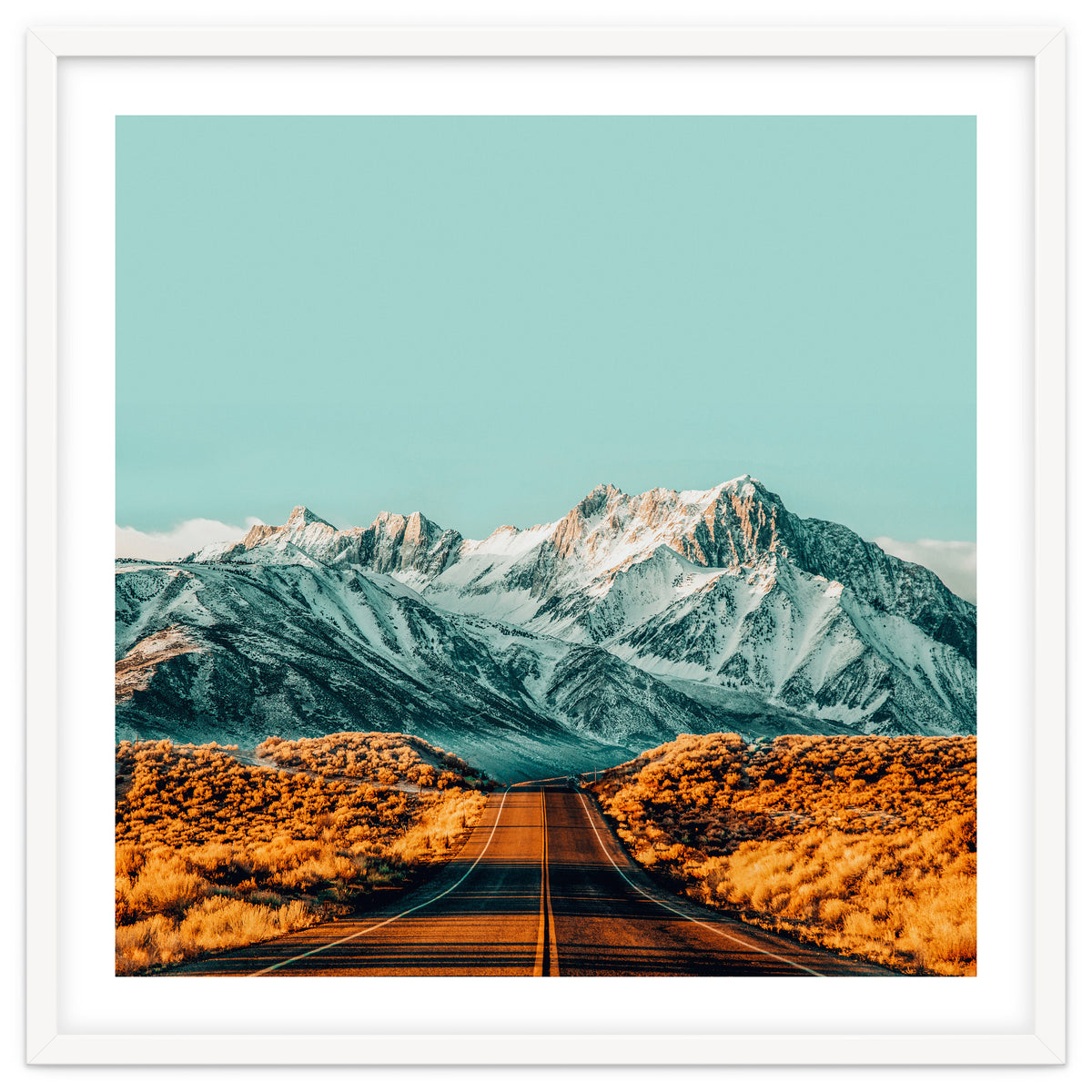 The Road Less Traveled