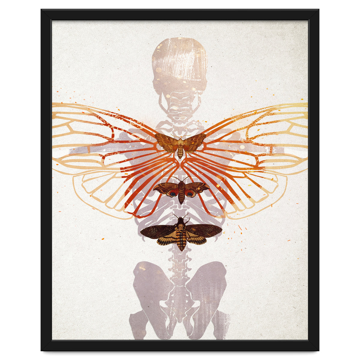 Ikarus - Like a Moth to the Flame