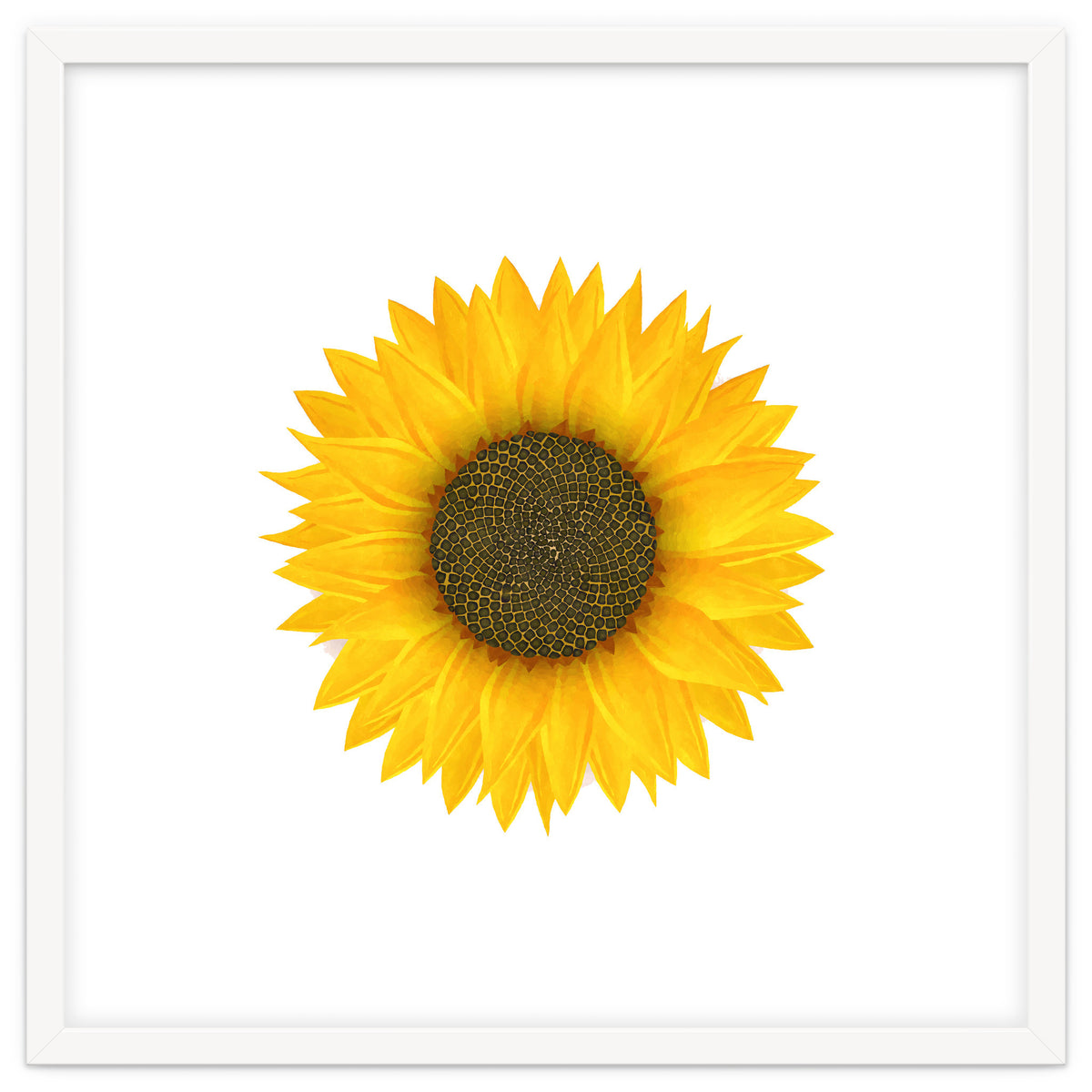 Watercolor Sunflower