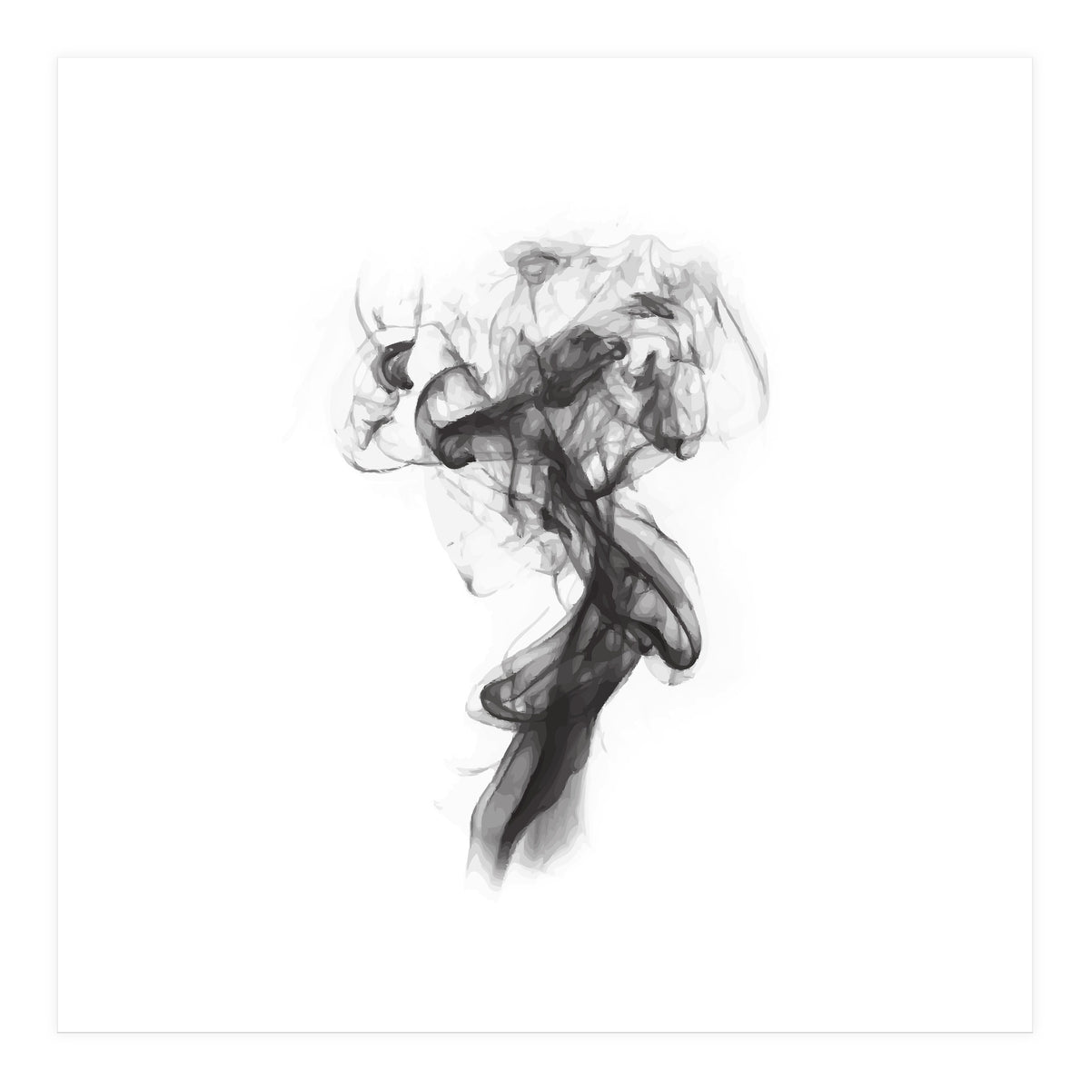 THE PORTRAIT OF A LADY (Print Only)