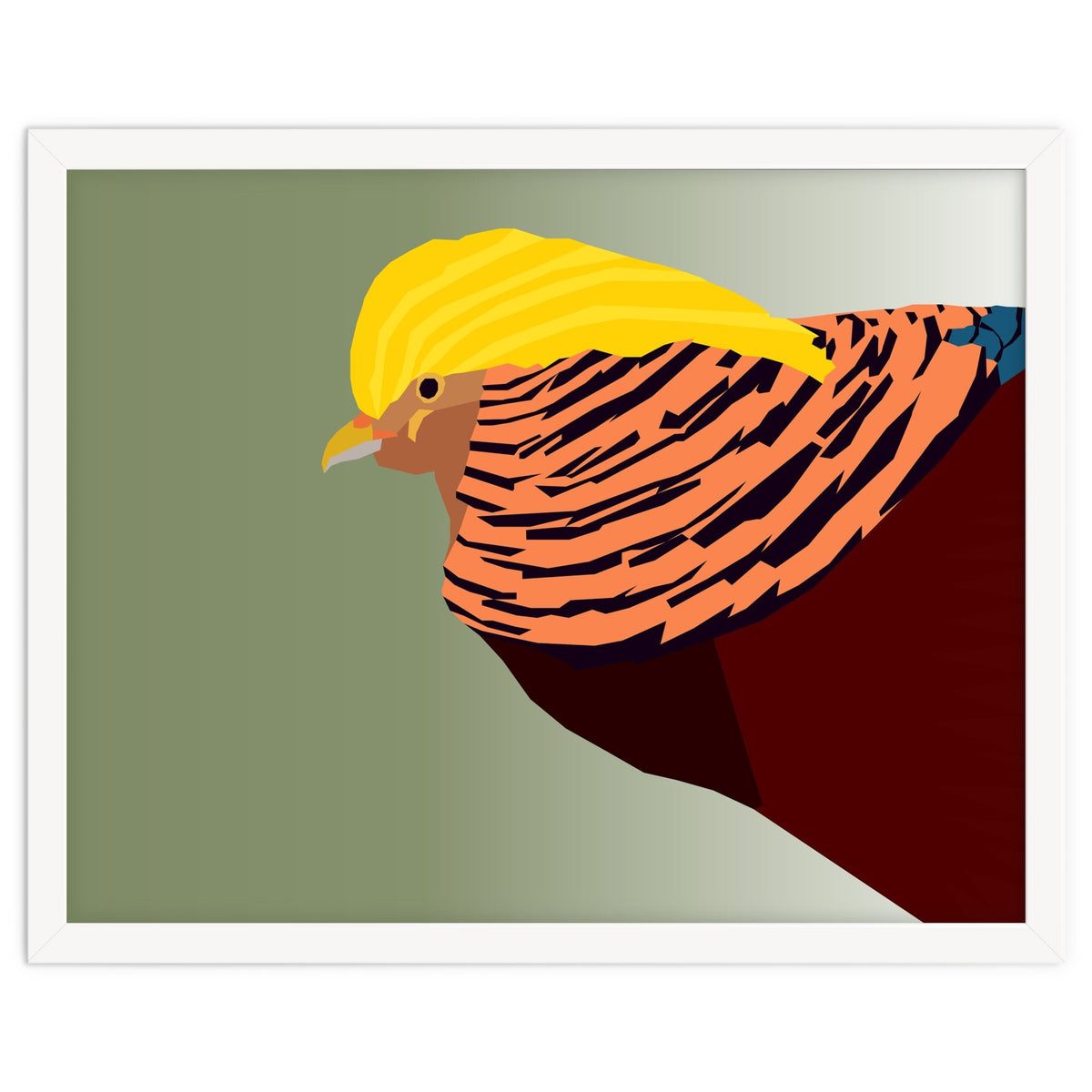 Golden Pheasant Bird Art