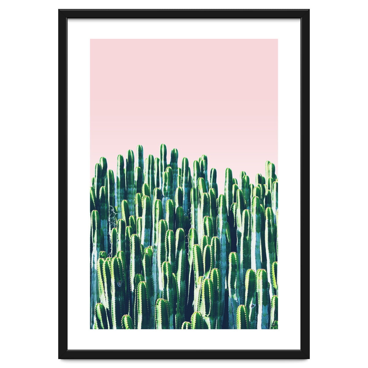 Cactus & Sunset II