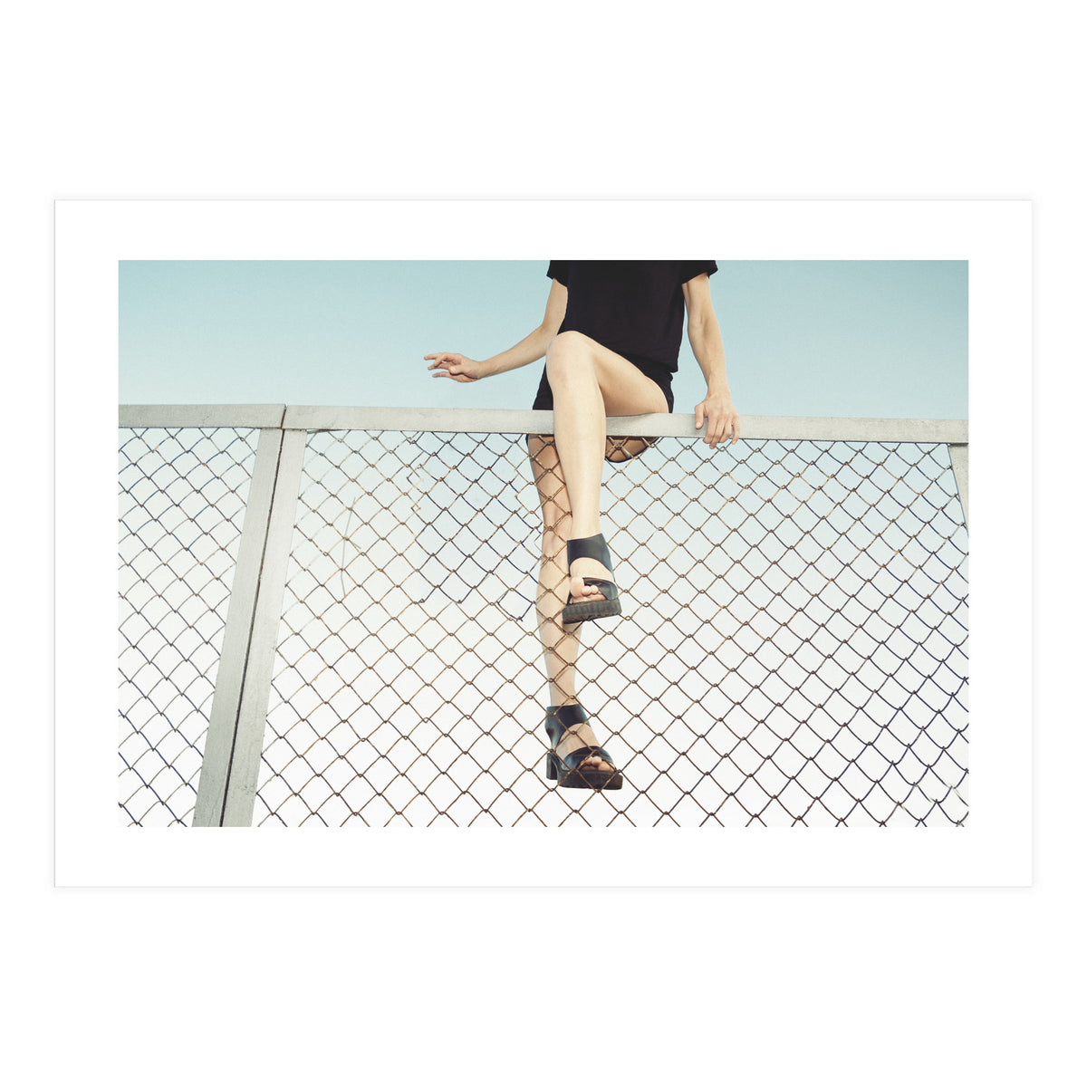 Hoping Fences (Print Only)