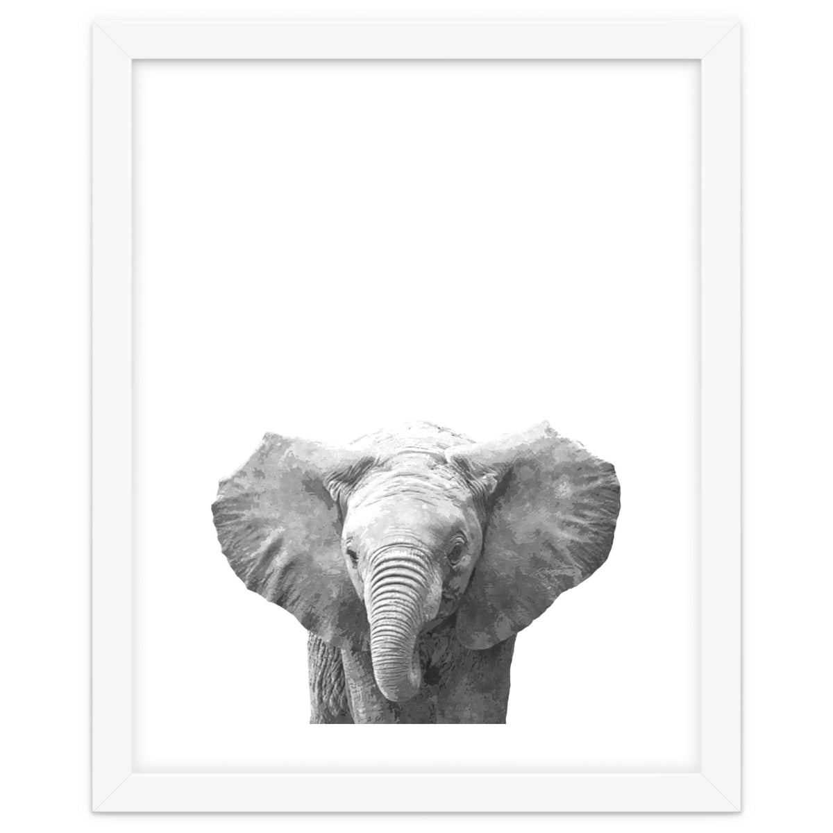 Black and White Baby Elephant