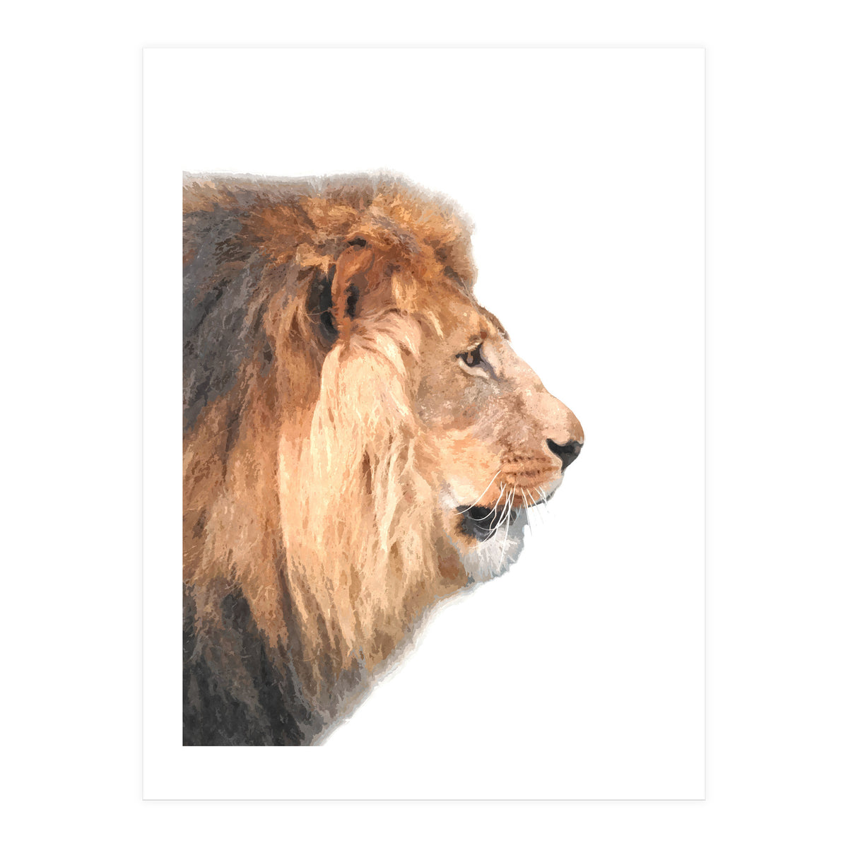 Lion Profile (Print Only)