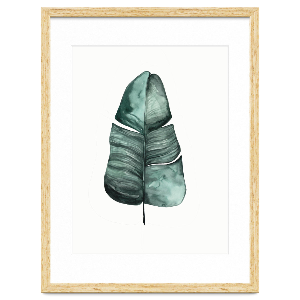 Botanical Illustration Banana Leaf