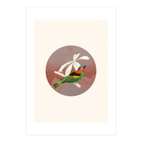 Bird Collage II (Print Only)