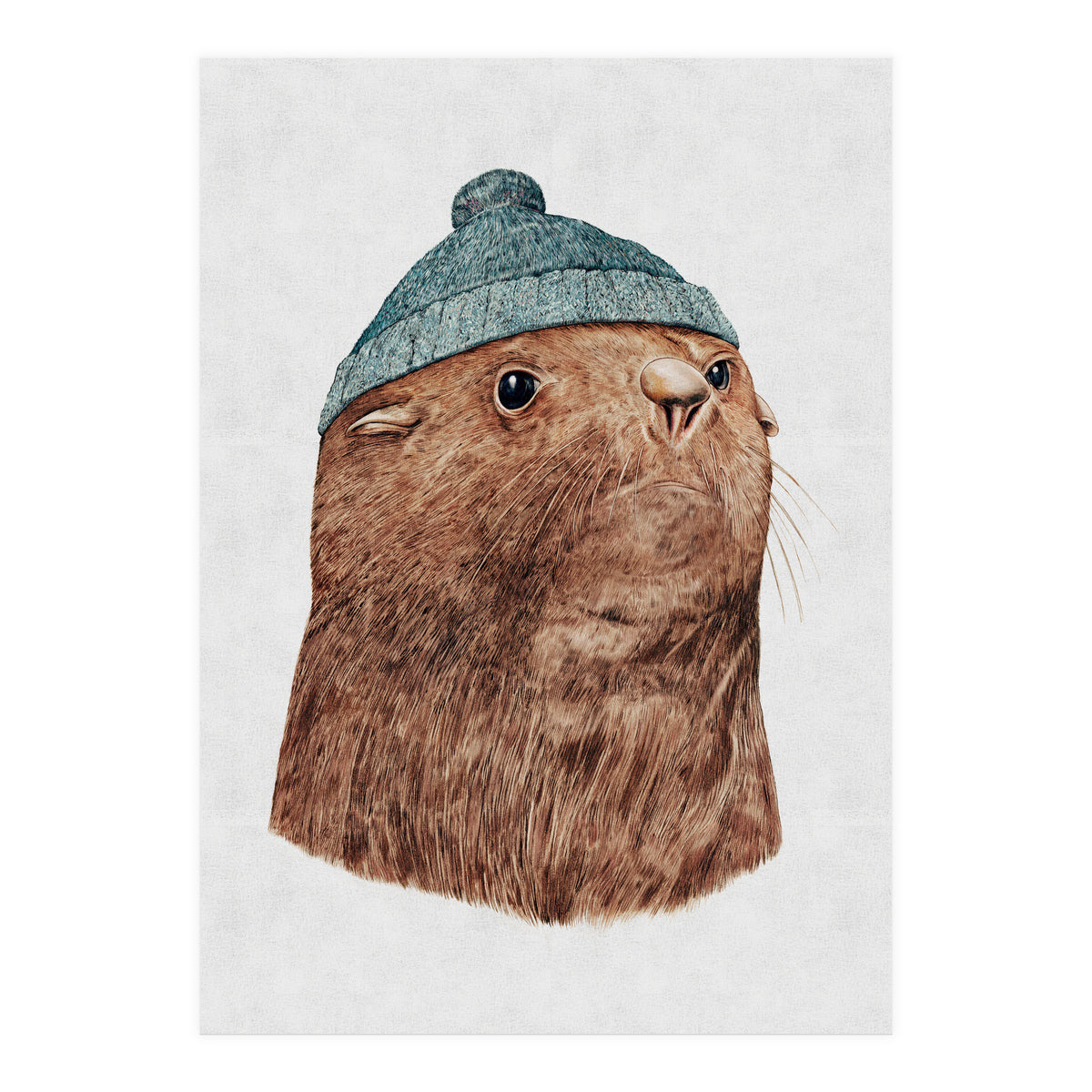 The Fur Seal (Print Only)