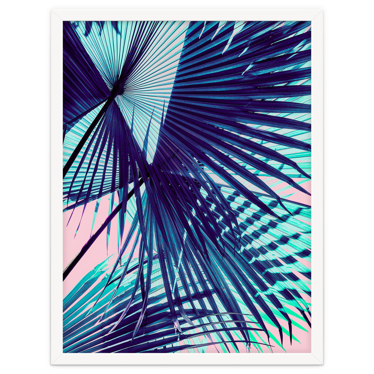 Palm leaf on the beach