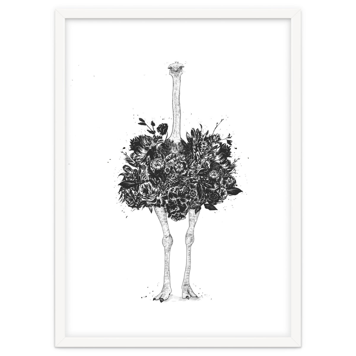 Floral Ostrich