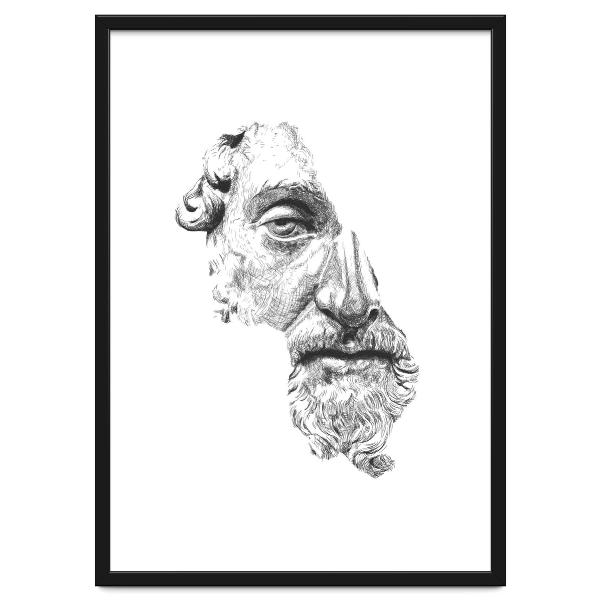 MARCUS AURELIUS ANTONINUS AUGUSTUS / black and white