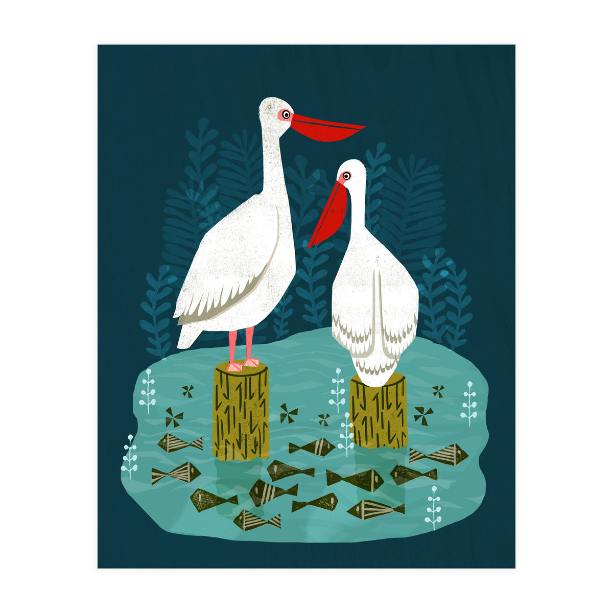 Pelicans (Print Only)
