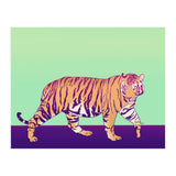 Tiger Under The Sun (Print Only) thumbnail