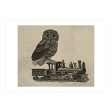civetta (Print Only) thumbnail